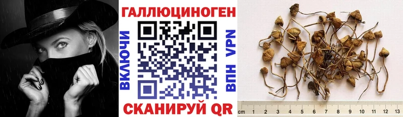 OMG зеркало  Щёлково  Галлюциногенные грибы мицелий 